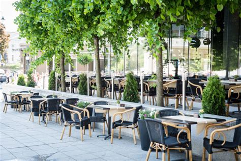 Žaliuojanti prieskonių siena restorane „Šventaragio sodas“
