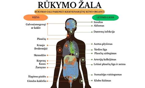 infografika apie pelėsio daromą žalą organizmui