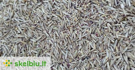 Simbolinis vaizdas su įvairiomis sėklomis, tarp jų ir čija