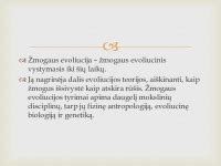 Žmogaus evoliucijos medžio schema