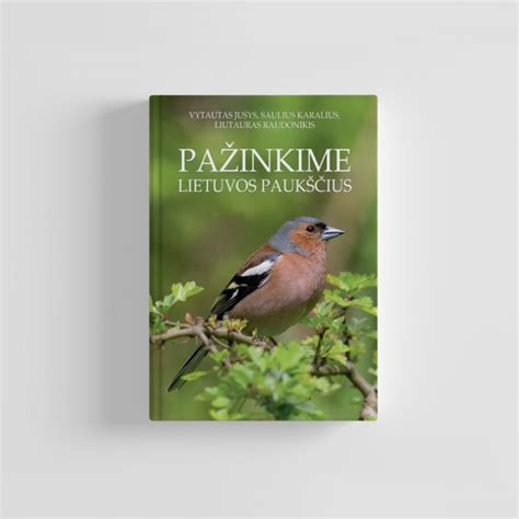 Medžiojamų paukščių Lietuvoje iliustracija
