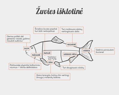 Žuvies torto sluoksnių diagrama