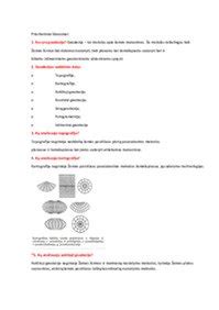 Sudėtinės dalys silkės drebučiuose