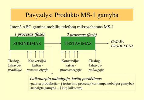 Mėsos produktų gamybos procesas