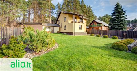 Korių laikymas specialiuose rėmuose