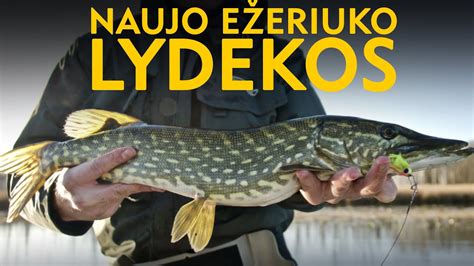 Lydekos žvejyba ežere