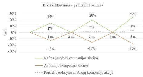 Investavimo strategijų ir rizikos diversifikavimo schema