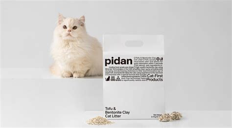 Pidan Tofu patiekalo nuotrauka