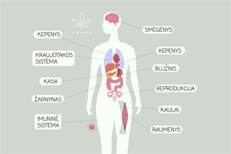 Infografika apie varškės ir pieno produktų naudą žmogaus organizmui