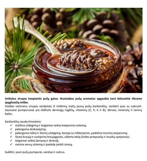 Jaunų ir subrendusių pušų kankorėžių nuotraukos