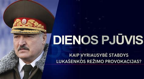 Aguoninio vyniotinio pjūvis
