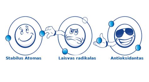 Laisvieji radikalai ir oksidacija