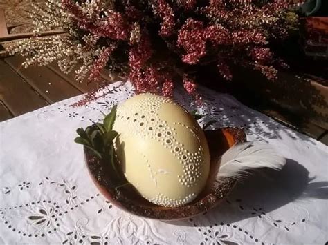 Stručio kiaušinio kaina