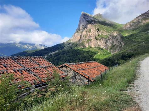 Picos asortimentas