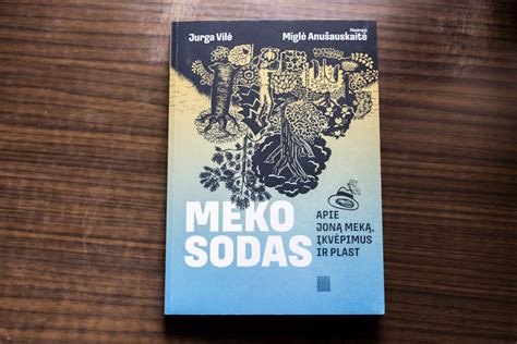 Komikso „Meko sodas“ viršelis, atspindintis Jono Meko įkvėptas istorijas