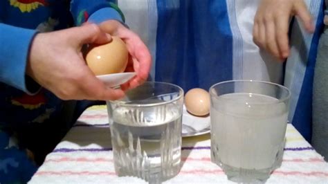 Eksperimentas su kiaušiniu ir buteliu