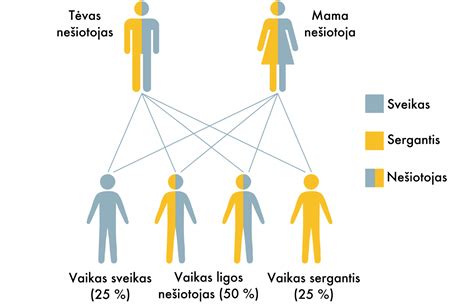 Apsinuodijimo simptomų schema