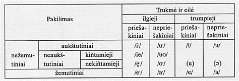 Lietuvių kalbos skardžiųjų ir dusliųjų priebalsių lentelė