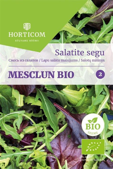 Sveiki salotų užpilai
