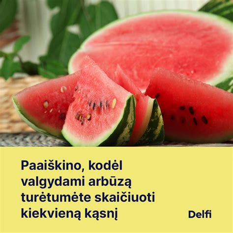 Karvelis, kepamas arbūze