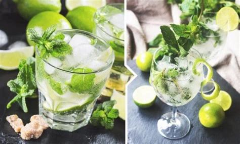 Įvairių Mojito kokteilių palyginimas