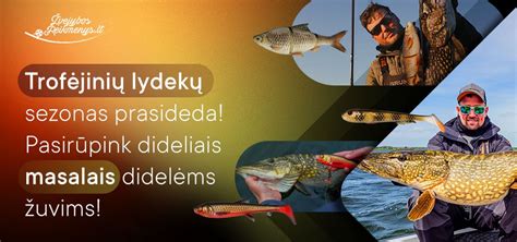 Žvejybos reikmenų asortimentas