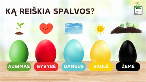 Margučių spalvų simbolika infografika