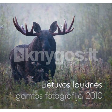 Laukinės gamtos fotografija