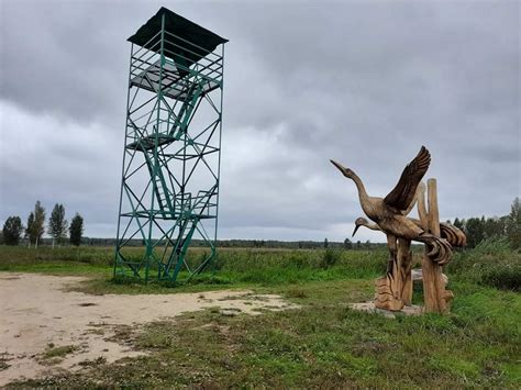 Paukščių stebėjimo bokštelis Novaraistyje