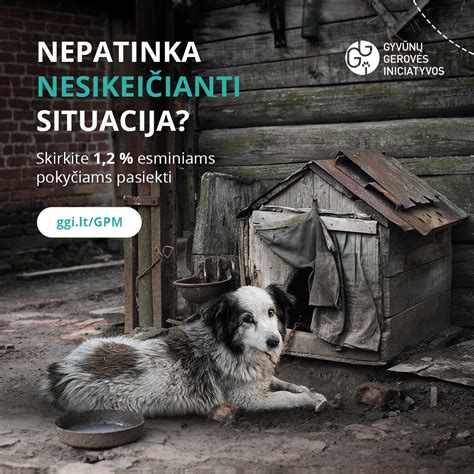 Gyvūnų gerovės iliustracija fermoje