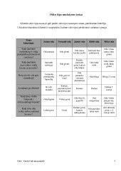 Odos tipų nustatymo schema