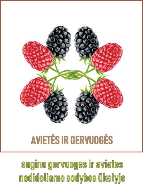 Avietės ir mėsos derinys