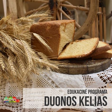 Edukacinė programa