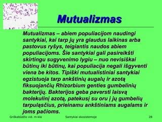 Įvairių rūšių sėklų ir jų naudos iliustracija