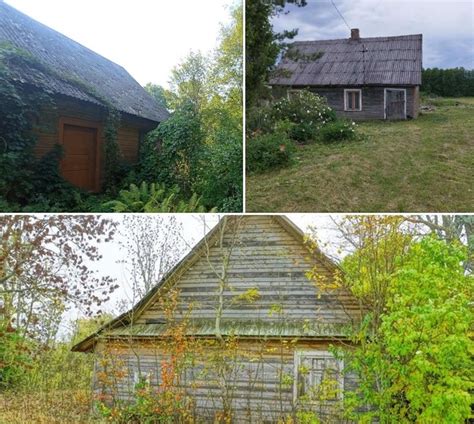 Lietuviškos sodybos vaizdas
