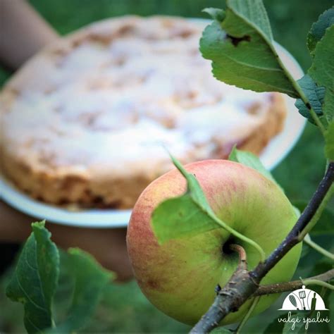 Senovinė obuolių pyrago iliustracija