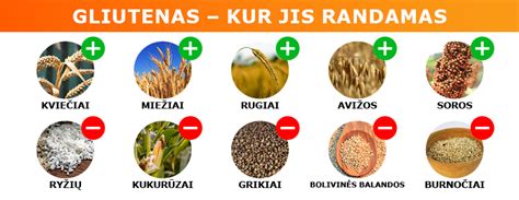 Grūdų struktūra: sėlenos, gemalas, endospermas