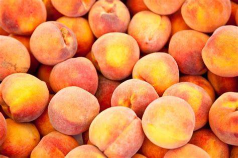 Įvairių persikų pyragų asorti