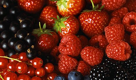 Vaisių ir uogų asortimentas kriušonui