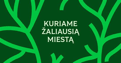 Žalias kivio šerbetas