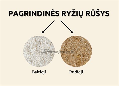 Skirtingos rizoto ryžių rūšys