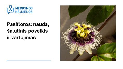 Pasifloros ir jų minkštimas