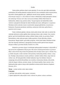 vaikų mitybos svarba