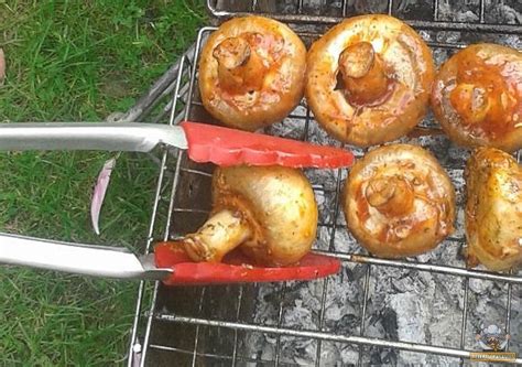 Grill patiekalai ant žarijų