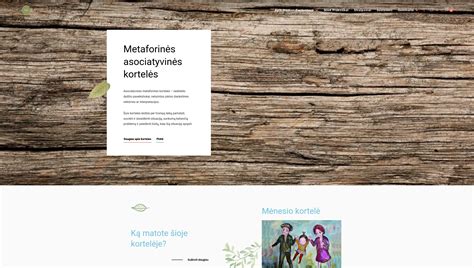 Internetinės parduotuvės apmokėjimo galimybių piktogramos