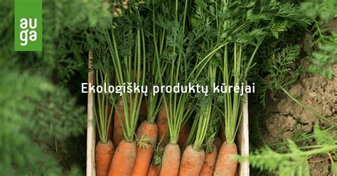 Ekologiškas maistas darželiams