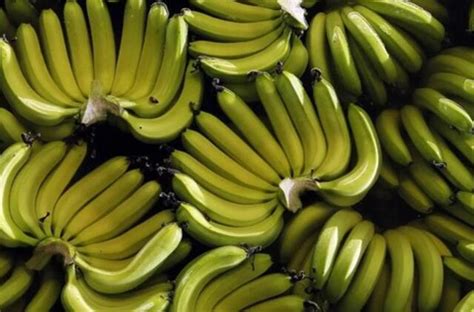 Bananų laikymo patarimai