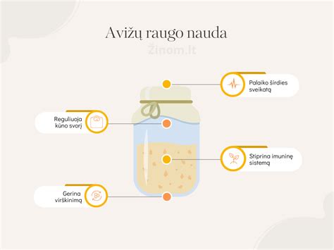 Raugo nauda virškinimui