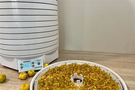Svarainių džiovinimo procesas orkaitėje