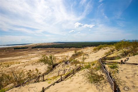Kukuliškių kaimo panorama su pušynu ir jūra